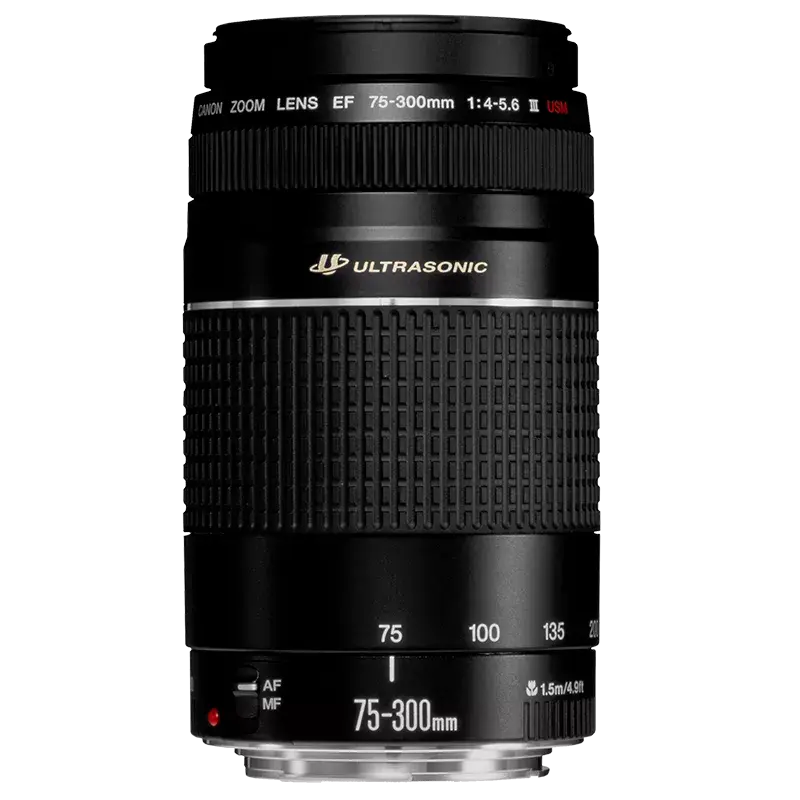 ef-75-300mm-f4-5.webp