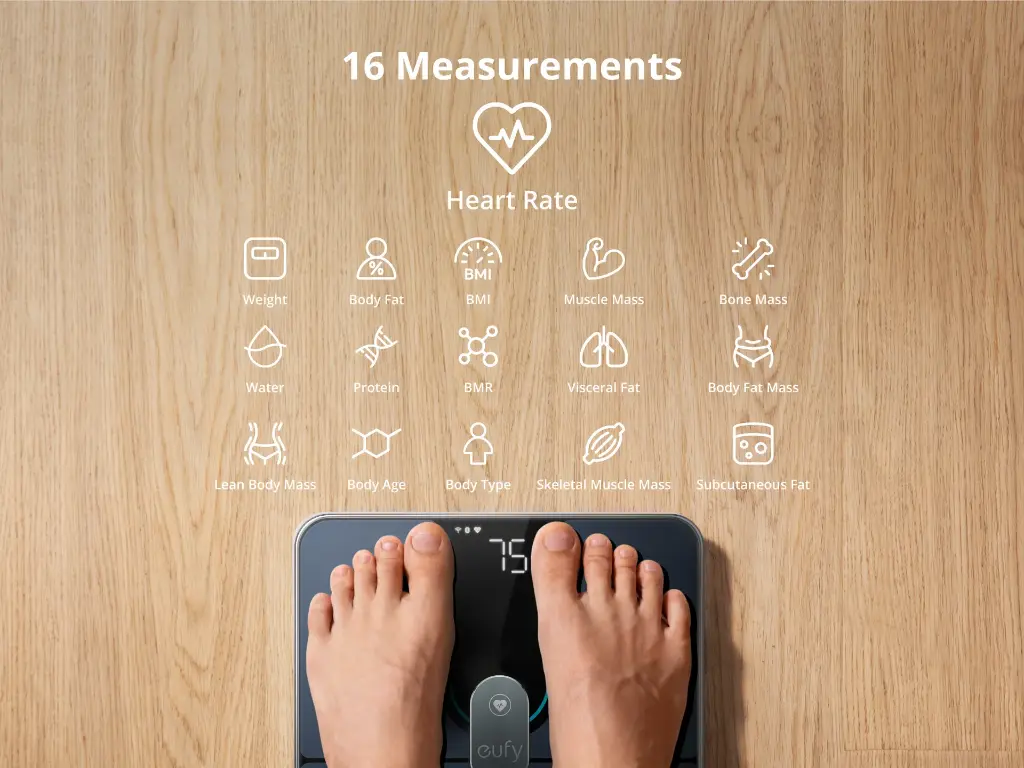 Smart-Scale-_-02_1.webp