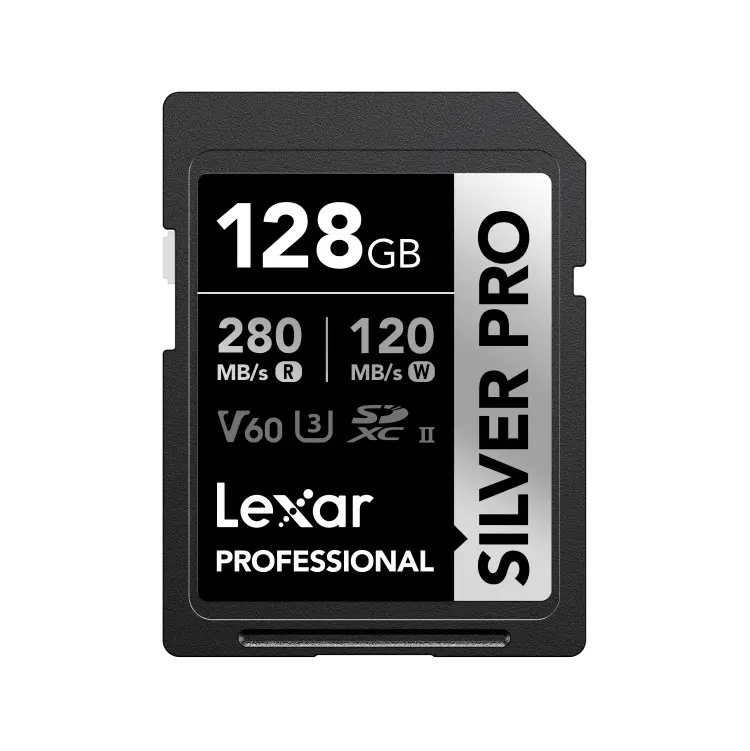 SILVER_PRO_SDXC_128GB_Photo1.webp