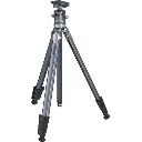 1688479222_1774496.webp