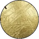 71AQLgl92QL._AC_SL1000_.webp