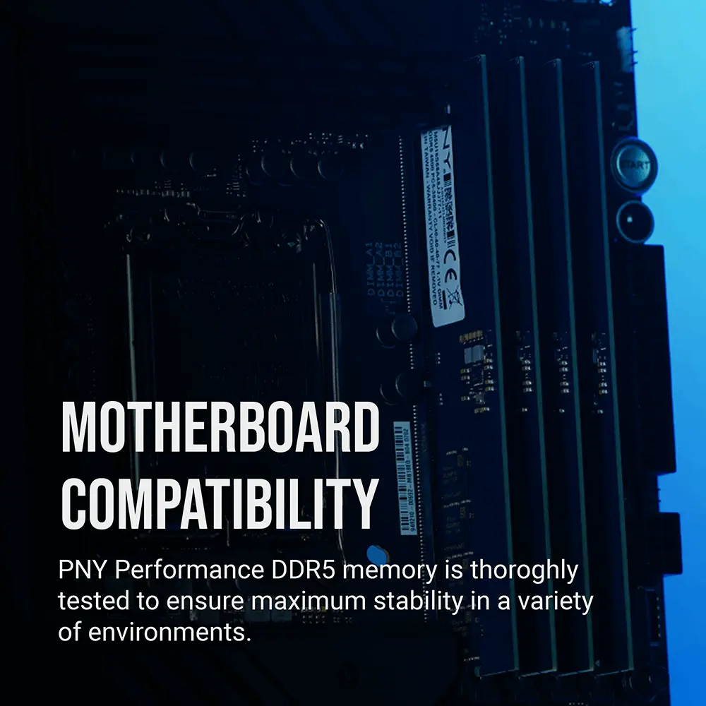 PNY-Performance-DDR5-Desktop-Memory-4800MHz-Gallery-2.webp