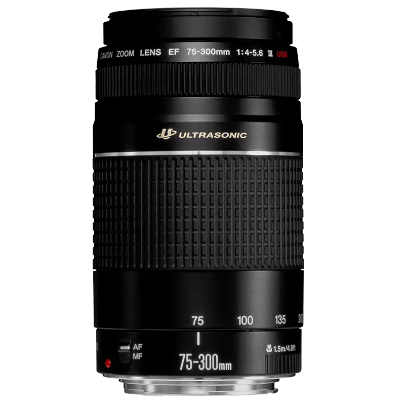 Canon EF 75-300mm f/4-5.6 III USM Lens