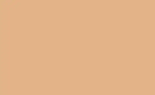 BD Seamless Backdrop Paper – Cashmere – 2.72×11m (BD279A1)