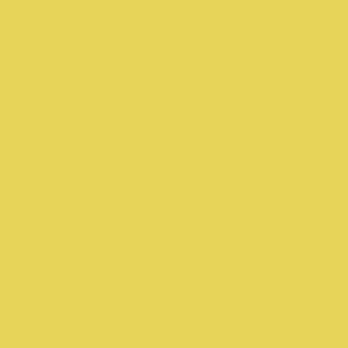 BD Seamless Bacdrop Paper Background Approx 2.72x11Mtr  Light Yellow 193BDA1