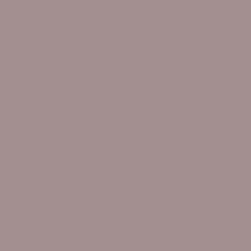 BD Seamless Bacdrop Paper Background Approx 2.72x11Mtr  Plaza Gray 119BDA1