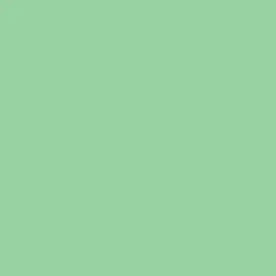 BD Seamless Bacdrop Paper Background Approx 1.35x11Mtr  SPRING GREEN 174BDA2