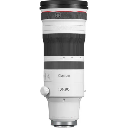 Canon RF 100-300mm f/2.8 L IS USM Lens 6055C002