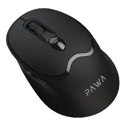 Pawa 6D Wireless Mouse with Side Buttons and Auto Sleep Function PW-VM6D16DP-BK