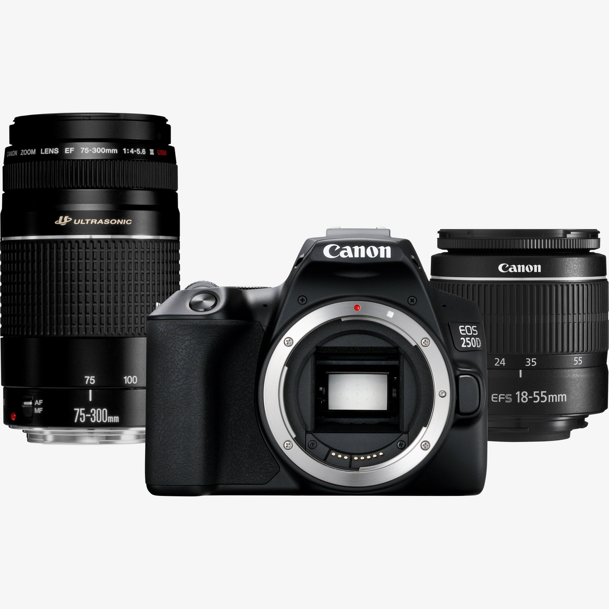 [250D-DBL-LENS] Canon EOS 250D DSLR Camera Black + EF-S 18-55mm F/3.5-5.6 III + EF 75-300mm F/4-5.6 III USM Zoom Lens Bundle