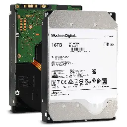 WD Ultrastar DC HC555 16TB 7200 RPM SATA III 3.5-Inch Data Center HDD 0B48722