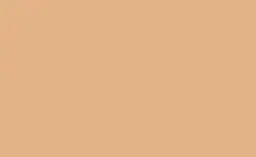 BD Seamless Bacdrop Paper Background Approx 2.72x11Mtr  CASHMERE BD279A1