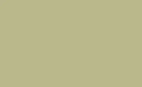 [BD223A1] BD Seamless Bacdrop Paper Background Approx 2.72x11Mtr PISTACHIO BD223A1