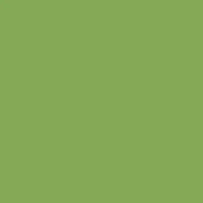 [132BDA1] BD Seamless Bacdrop Paper Background Approx 2.72x11Mtr  Veri Green 132BDA1