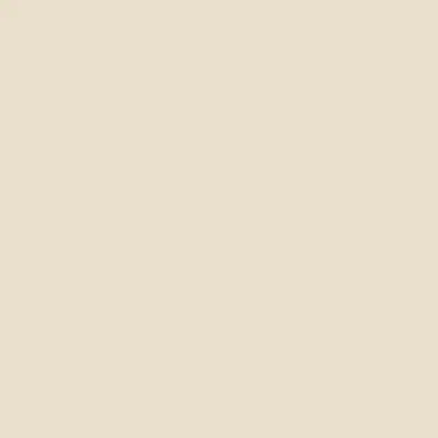[106BDA2] BD Seamless Bacdrop Paper Background Approx 1.35x11Mtr  CREAM 106BDA2